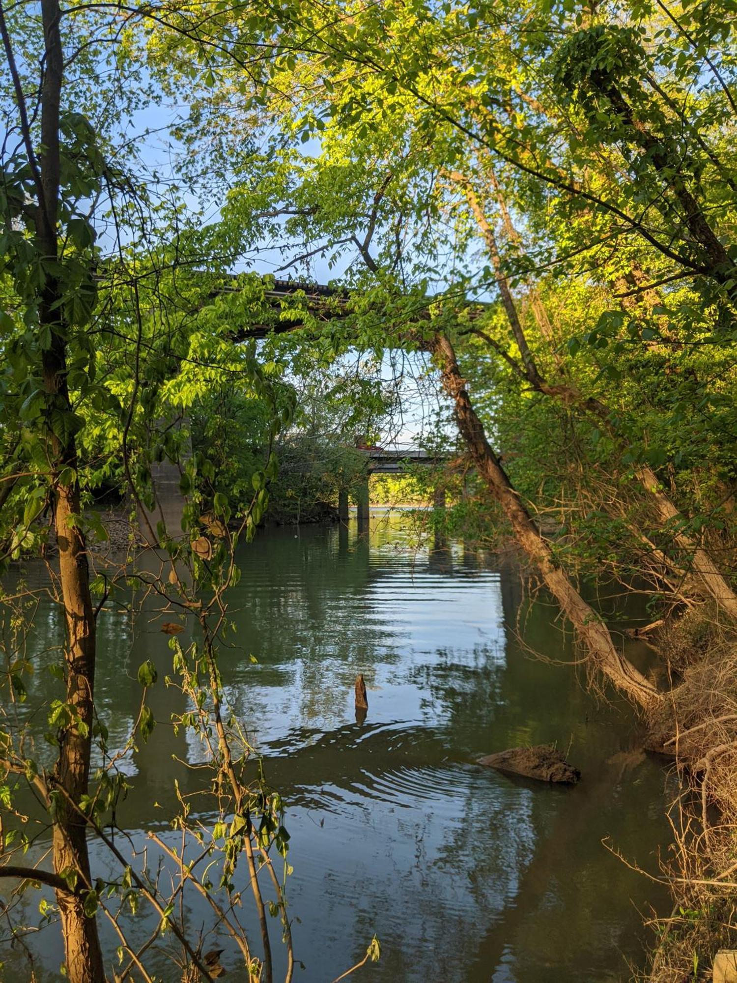 River Cabin Hot Tub & Swim Spa Near Downtown Chattanooga Kültér fotó